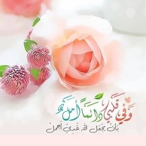 Meet your Posher, Mona